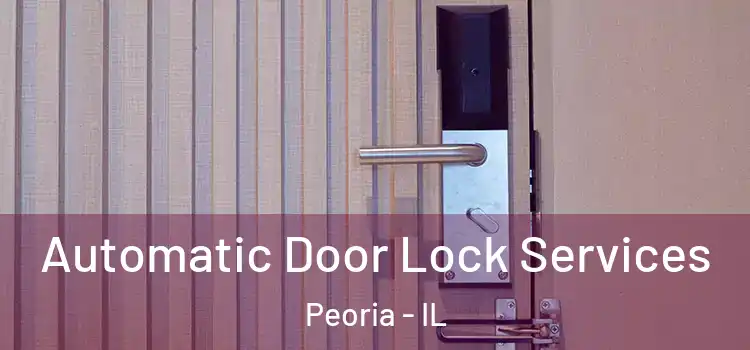 Automatic Door Lock Services Peoria - IL