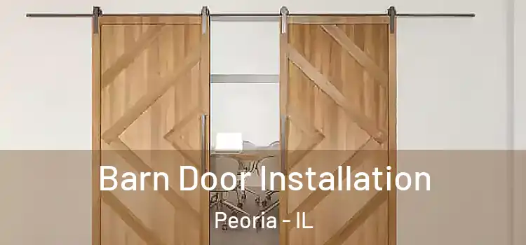  Barn Door Installation Peoria - IL