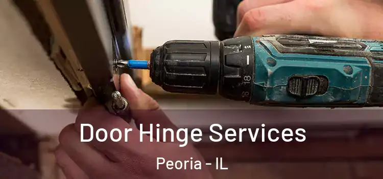  Door Hinge Services Peoria - IL