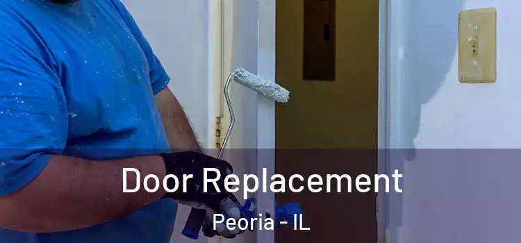  Door Replacement Peoria - IL