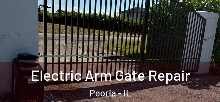  Electric Arm Gate Repair Peoria - IL