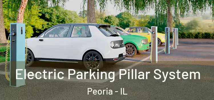 Electric Parking Pillar System Peoria - IL