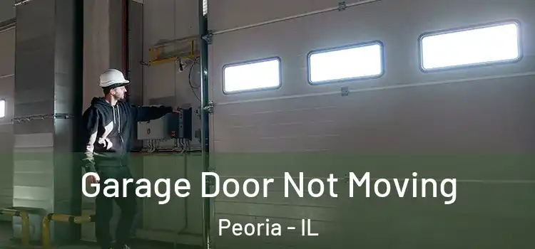  Garage Door Not Moving Peoria - IL