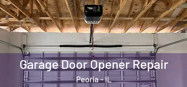  Garage Door Opener Repair Peoria - IL