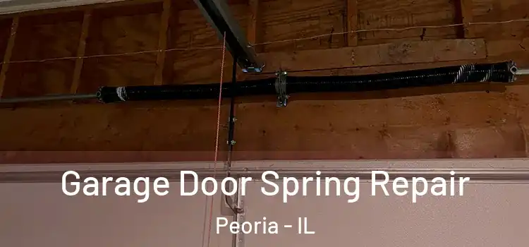  Garage Door Spring Repair Peoria - IL