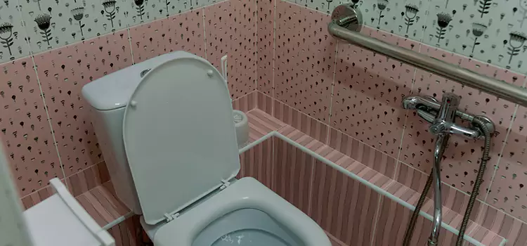 Meeting Diverse Needs With Accessible Restroom Solutions in Peoria, IL