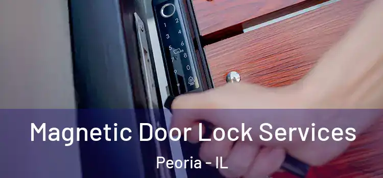 Magnetic Door Lock Services Peoria - IL