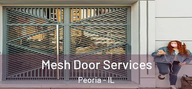  Mesh Door Services Peoria - IL
