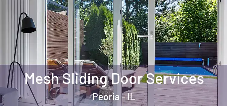  Mesh Sliding Door Services Peoria - IL