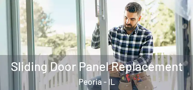  Sliding Door Panel Replacement Peoria - IL