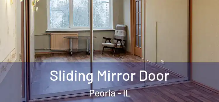  Sliding Mirror Door Peoria - IL